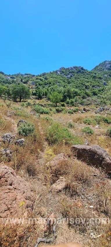 Marmaris Selimiye Dorf In einer für die Investition geeigneten 773 m2 großen verkaufsbaren Fläche Land