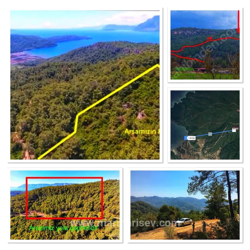 Marmaris Çetibelinde Wald Innerhalb 13.500 m2 Privat Nutzungsbereich
