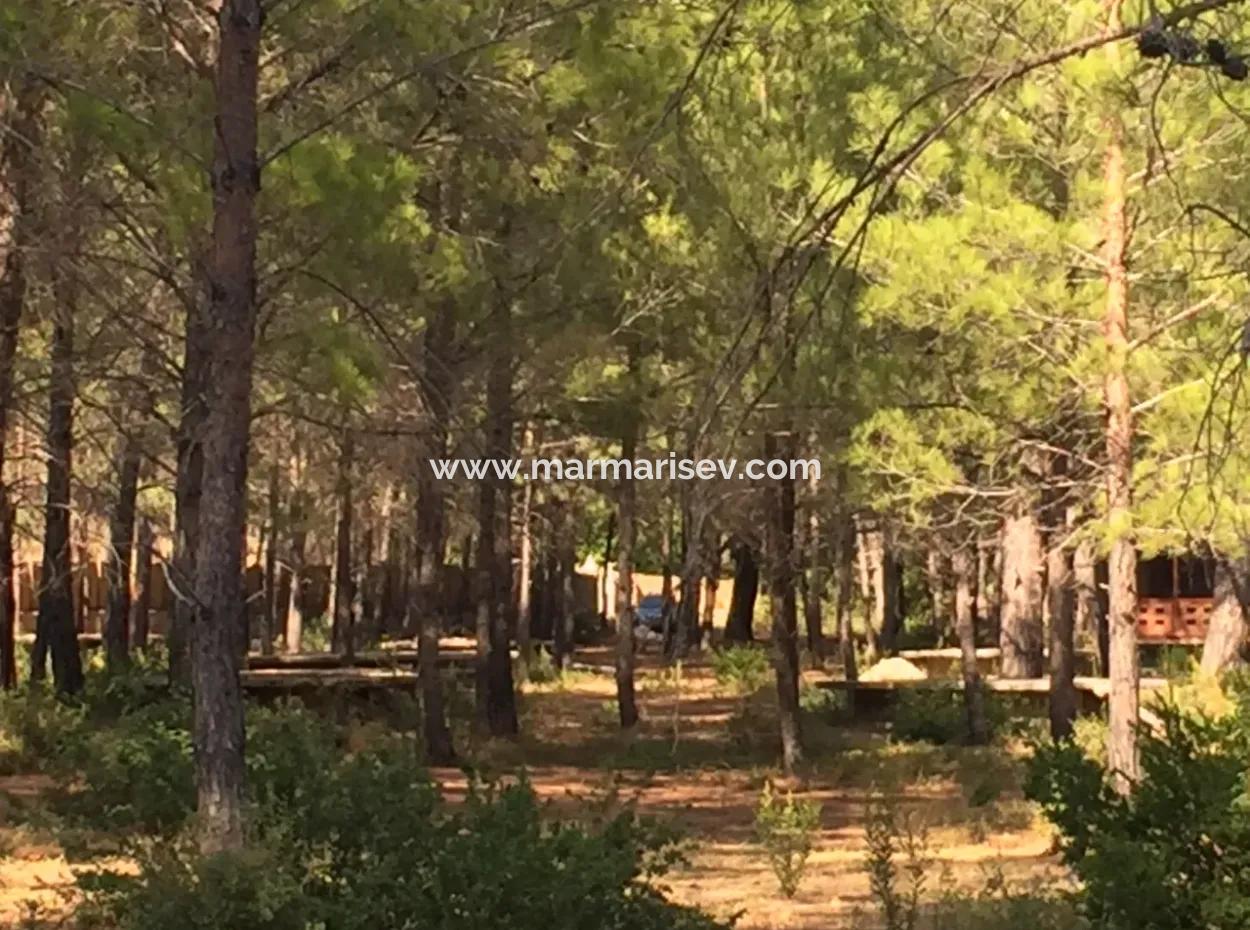 Grundstück Zum Verkauf Geeignet Für Bungalowhotel Auf 7500M2 Grundstück In Der Bucht Von Bördübet