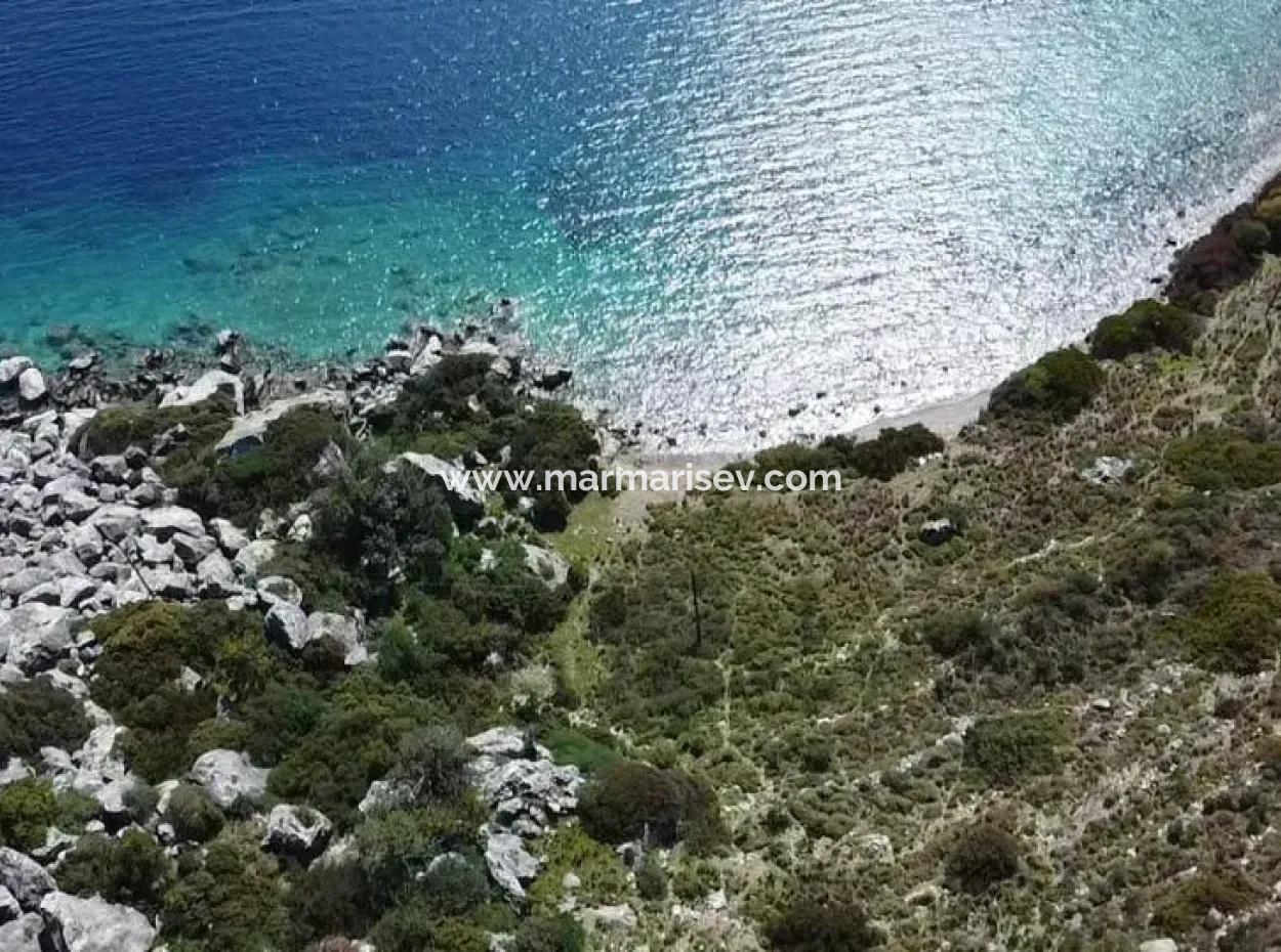 Feld Zum Verkauf Im Dorf Marmaris Söğüt Mit 500 M2 Meerblick 20 Meter Zum Meer