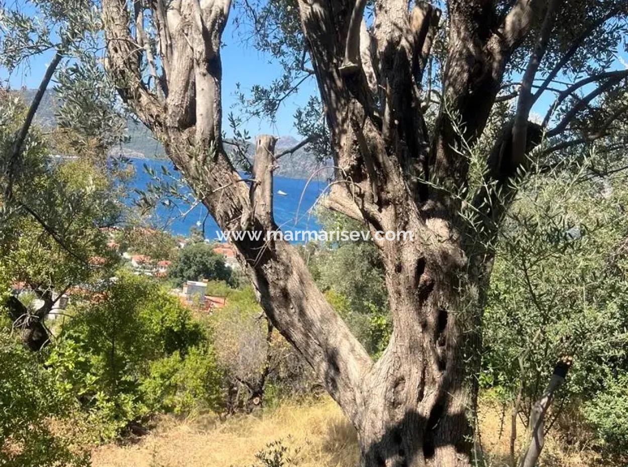 Grundstück Zum Verkauf In Marmaris Selimiye Nachbarschaft Mit Meerblick 5200M2, Geeignet Für Den Bau Von 2 Villen Oder Hotelbau