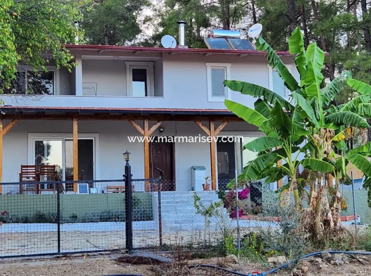 Ortaca-Stadtteil Zum Verkauf 10.000 M² Maßgefertigtes Bauernhaus Mit Pool