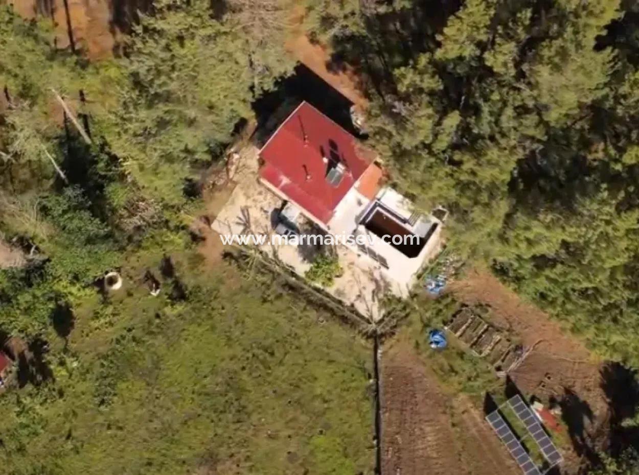 Ortaca-Stadtteil Zum Verkauf 10.000 M² Maßgefertigtes Bauernhaus Mit Pool