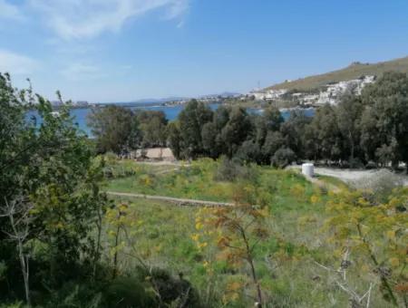 Grundstück Zu Verkaufen Mit 4000M2 Touristischen Entwicklung Am Meer In Bodrum Akyarlar