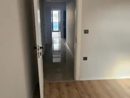 Siteler Viertel 2 1 Freistehende Gartenwohnung Zum Verkauf