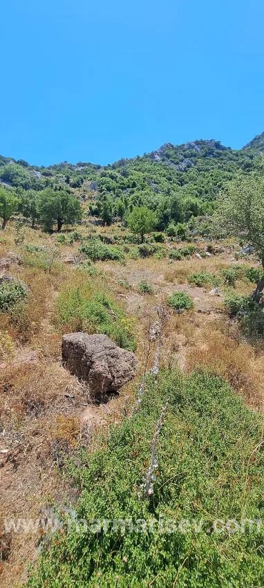Marmaris Selimiye village has an Investment suitable 773 m2 for sale land