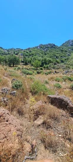 Marmaris Selimiye village has an Investment suitable 773 m2 for sale land
