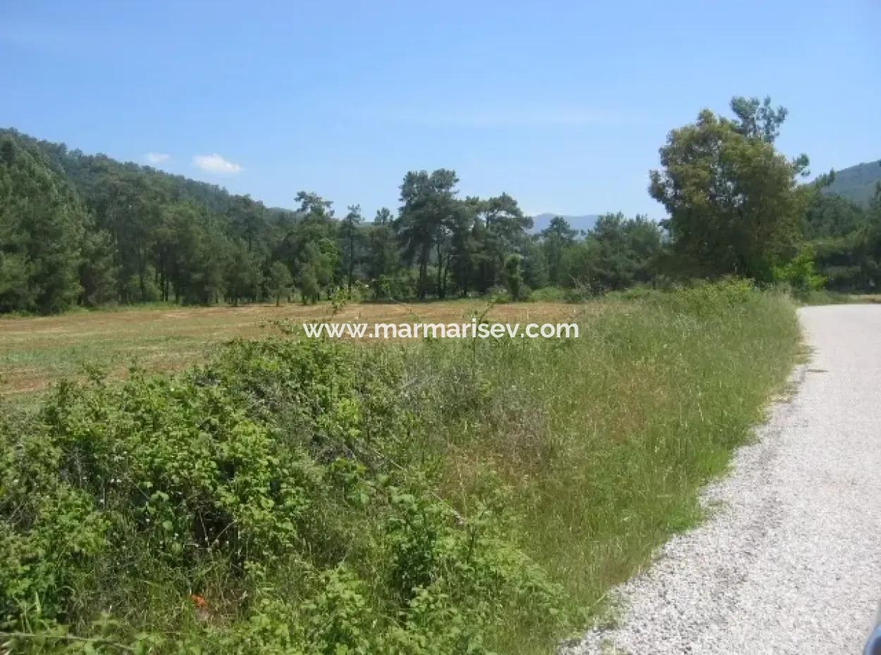 Urgent For Sale Plot In The Village Of 25.000 M2 Glazed Marmaris