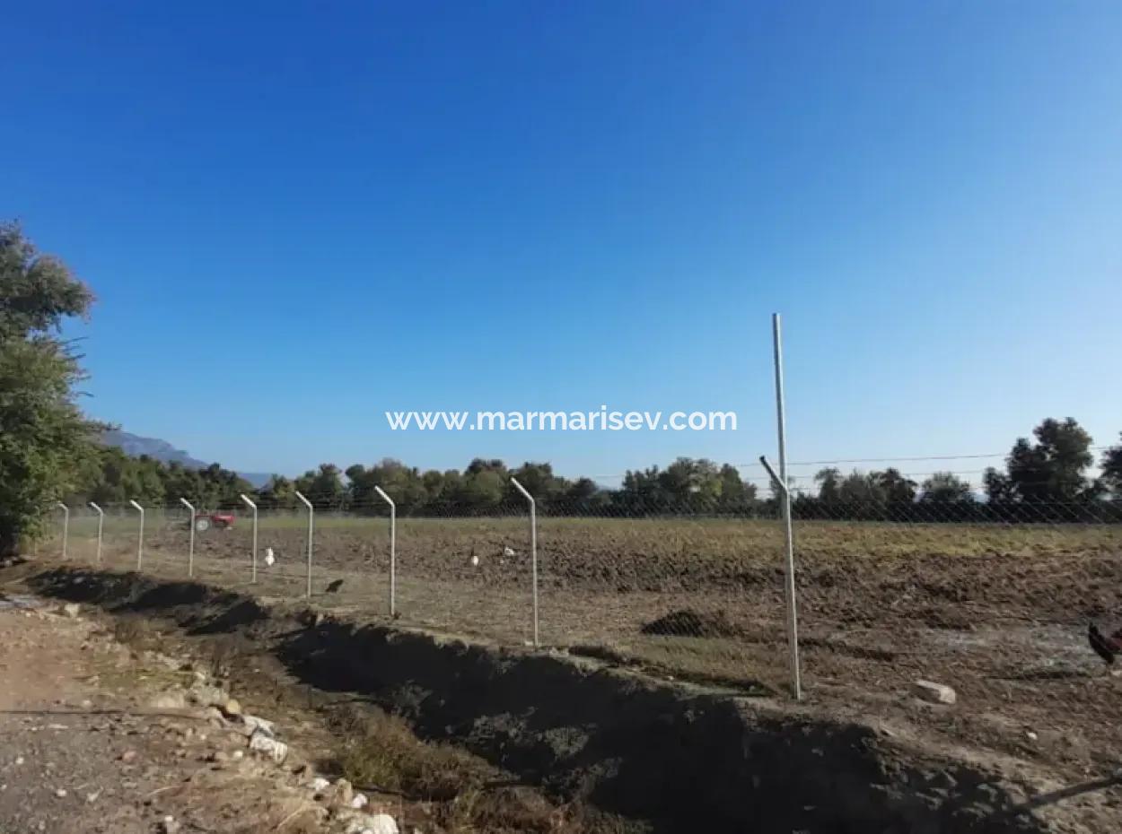 32000M2 Arable Avocados, Greenhouse Construction, Farms, Suitable For Livestock Land In Köyceğinz Döğüşbelen