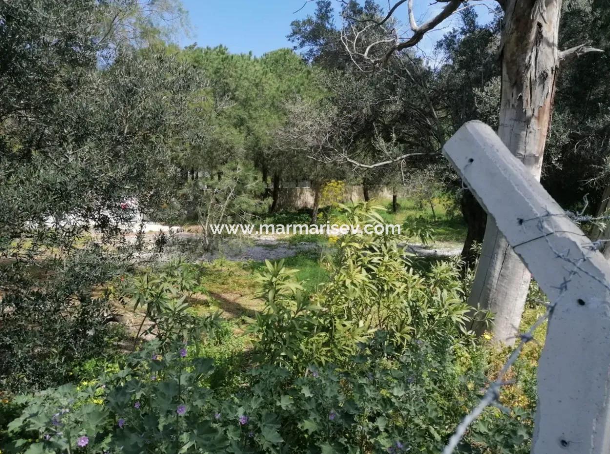 Land For Sale With 4000M2 Tourism Development By The Sea In Bodrum Akyarlar