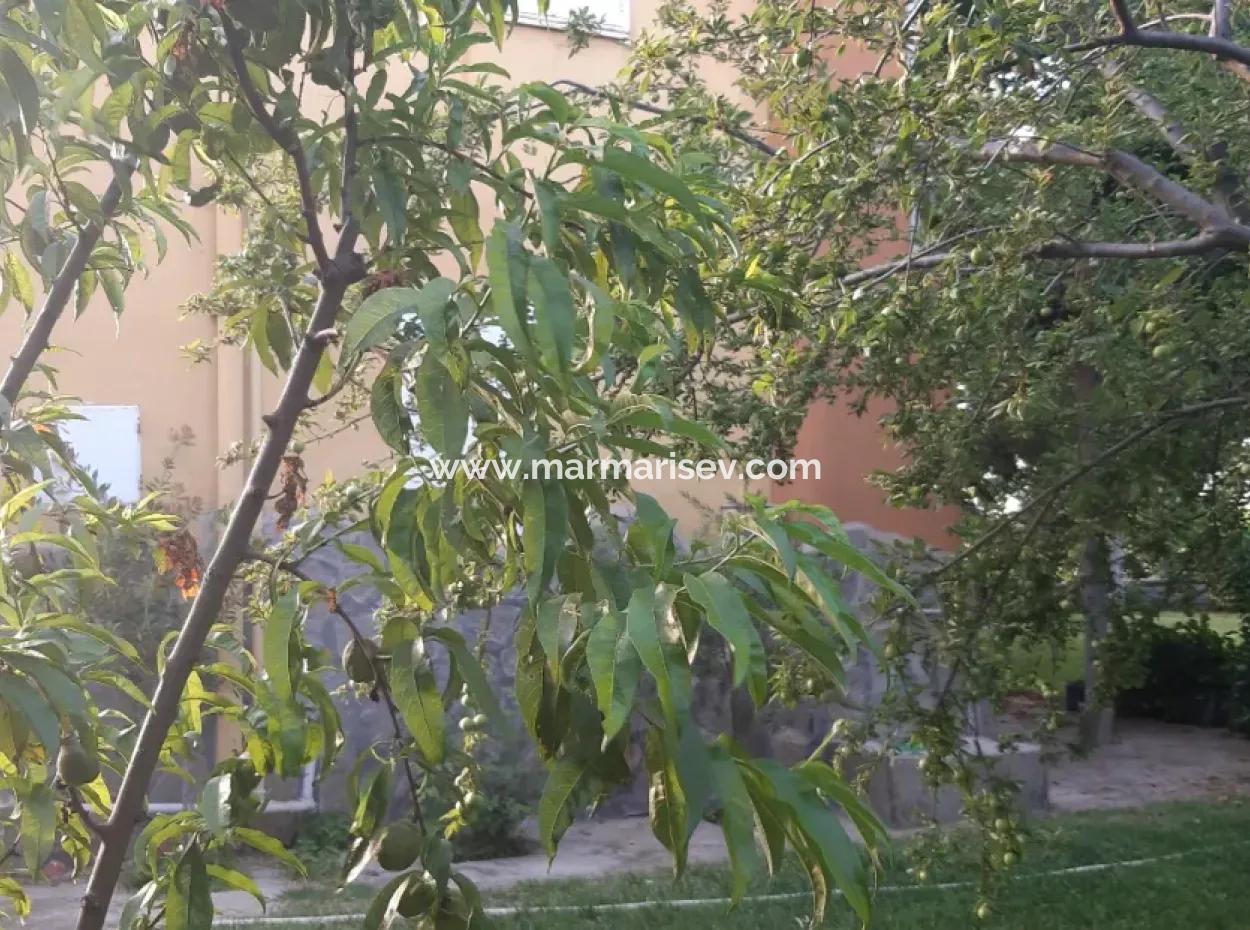 Manisa Prefecture Alasehir District 19000M2 Grapefring Farm For Urgent Sale