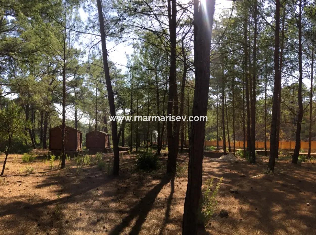 Land For Sale Suitable For Bungalow Hotel In 7500M2 Plot In Bördübet Bay