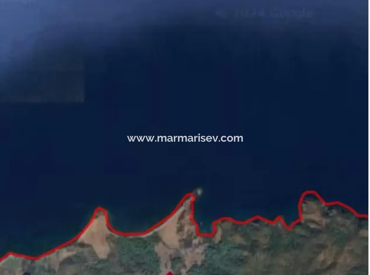 Land For Sale In Avlana Neighborhood Of Datca District Close To The Sea Of 5200M2 Suitable For Investment