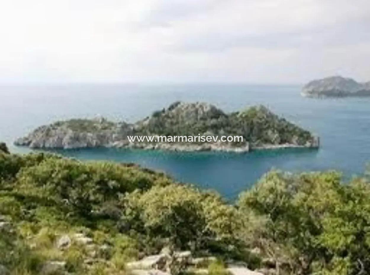 81000M2 Island For Sale In Marmaris Region 31000M2 Title Deed Official Electricity Water Available Manor House With Legal House In It