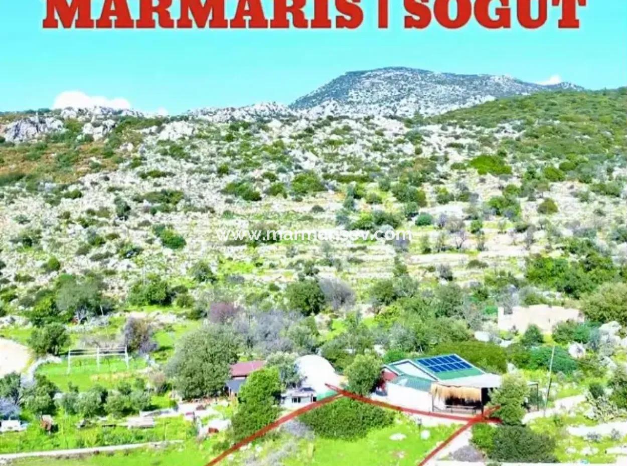 A 380M2 Land For Sale By The Sea In Söğüt Neighborhood Of Marmaris District From A Real Estate Agent