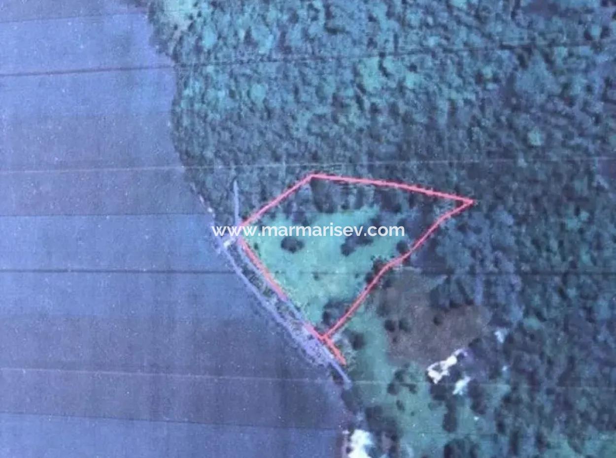 The Land For Sale From Marmaris Near The Sea Plot Hotels,Marina,Yacht Club Land 4000 M2