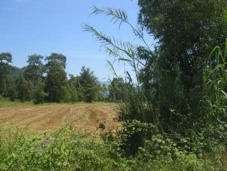 Urgent For Sale Plot In The Village Of 25.000 M2 Glazed Marmaris