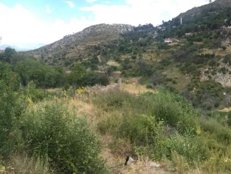 Akbuk, Mugla Province, County And Neighborhood Of The House In A Plot Of 3500 M2 In Zeytinkoy 2 Current Land Plot For Sale