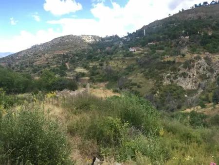 Akbuk, Mugla Province, County And Neighborhood Of The House In A Plot Of 3500 M2 In Zeytinkoy 2 Current Land Plot For Sale