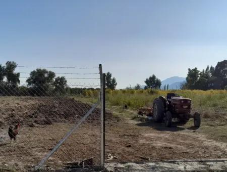 32000M2 Arable Avocados, Greenhouse Construction, Farms, Suitable For Livestock Land In Köyceğinz Döğüşbelen