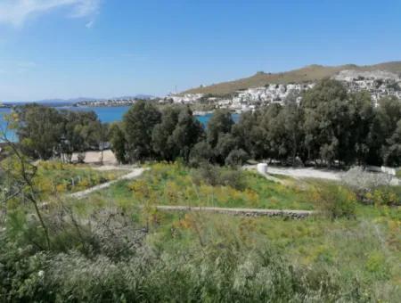 Land For Sale With 4000M2 Tourism Development By The Sea In Bodrum Akyarlar