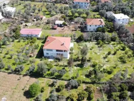 Farmhouse Among Olive Groves With 10 Rooms In A Plot Of 3700M2 Close To The Sea In The Orhaniye Neighborhood Of Marmaris From The Real Estate Agent