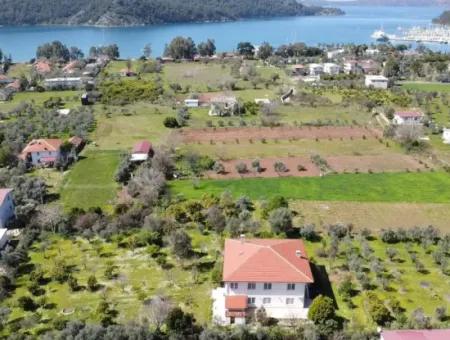 Farmhouse Among Olive Groves With 10 Rooms In A Plot Of 3700M2 Close To The Sea In The Orhaniye Neighborhood Of Marmaris From The Real Estate Agent