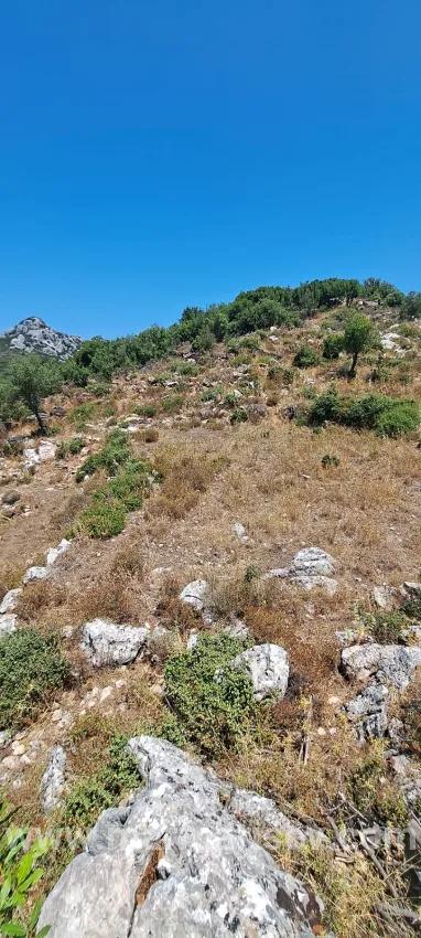 Мармарис Селимие деревне для инвестиций подходящий 773 м2 продается участок земли
