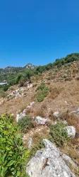 Для продажи Поле в Selimiye Marmaris - Под Поле застройку - 773 m²