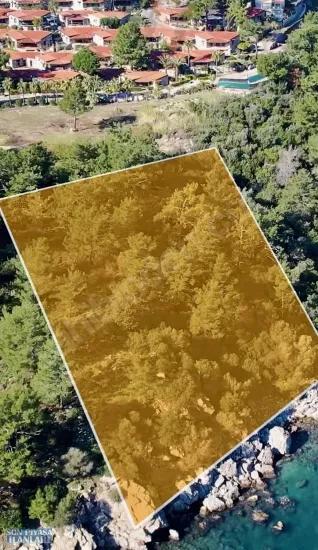 Мармарис Турунч Koyunda Денize Сифир 4700 М2 Контроллируемое Использование Площади