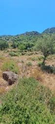 Marmaris Selimiye Mah. Satılık Tarla - Tarla İmar Durumlu - 773 m²