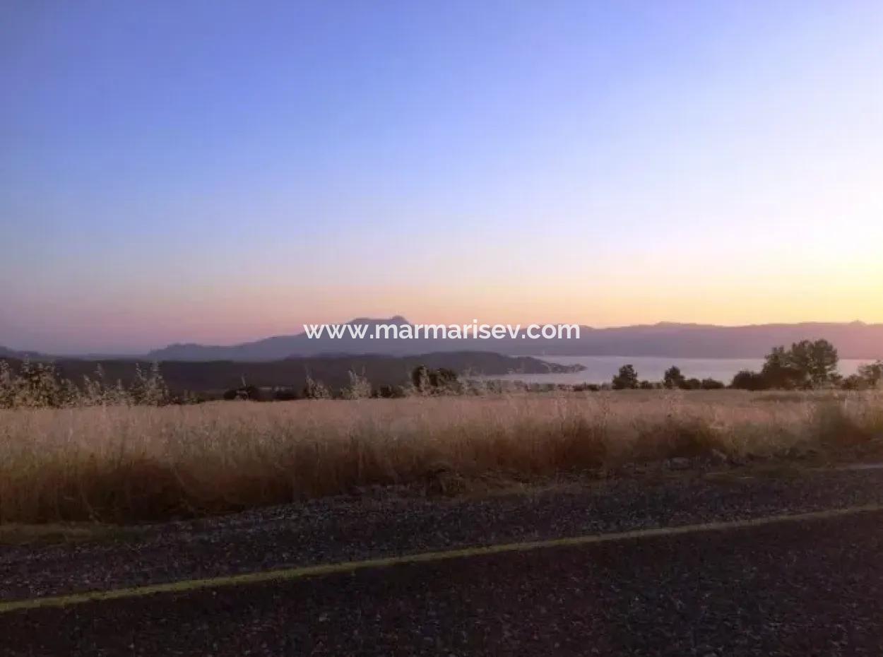 Köyceğiz İlçesi Zeytinalanı Mahallesi 19000M2 Satılık Göl Manzaralı Arsa