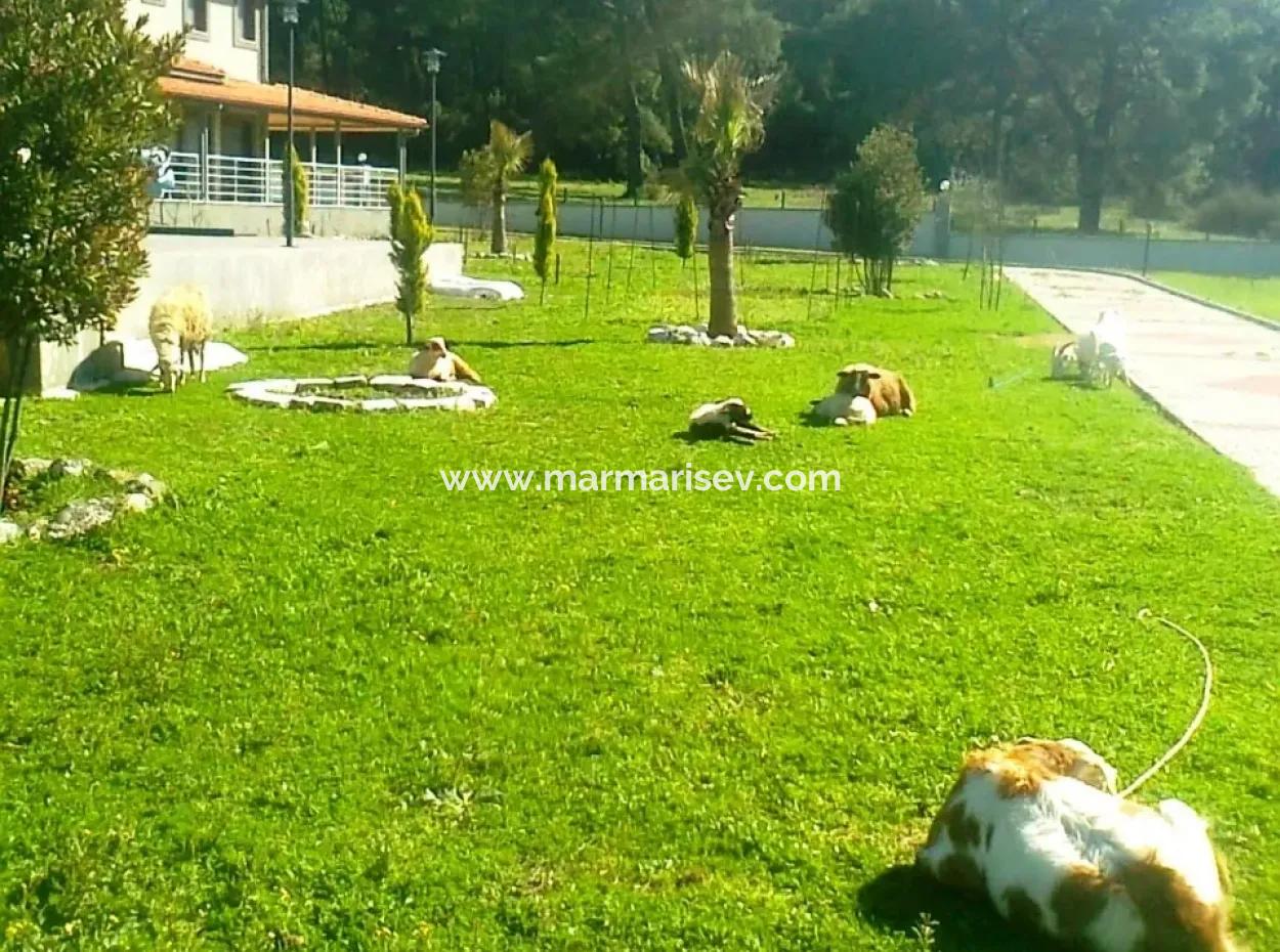 Marmaris İçinde 7000M2 Arsa Üzerine Kurulu 8 Oda Çiftlik Evi Havuz Mevcut