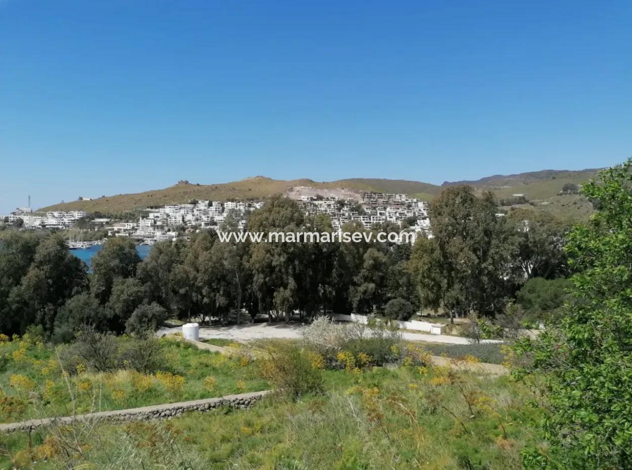 Bodrum Akyarlar Mevkisinde Denize Sıfır 4000M2 Turizm İmarlı Satılık Arsa