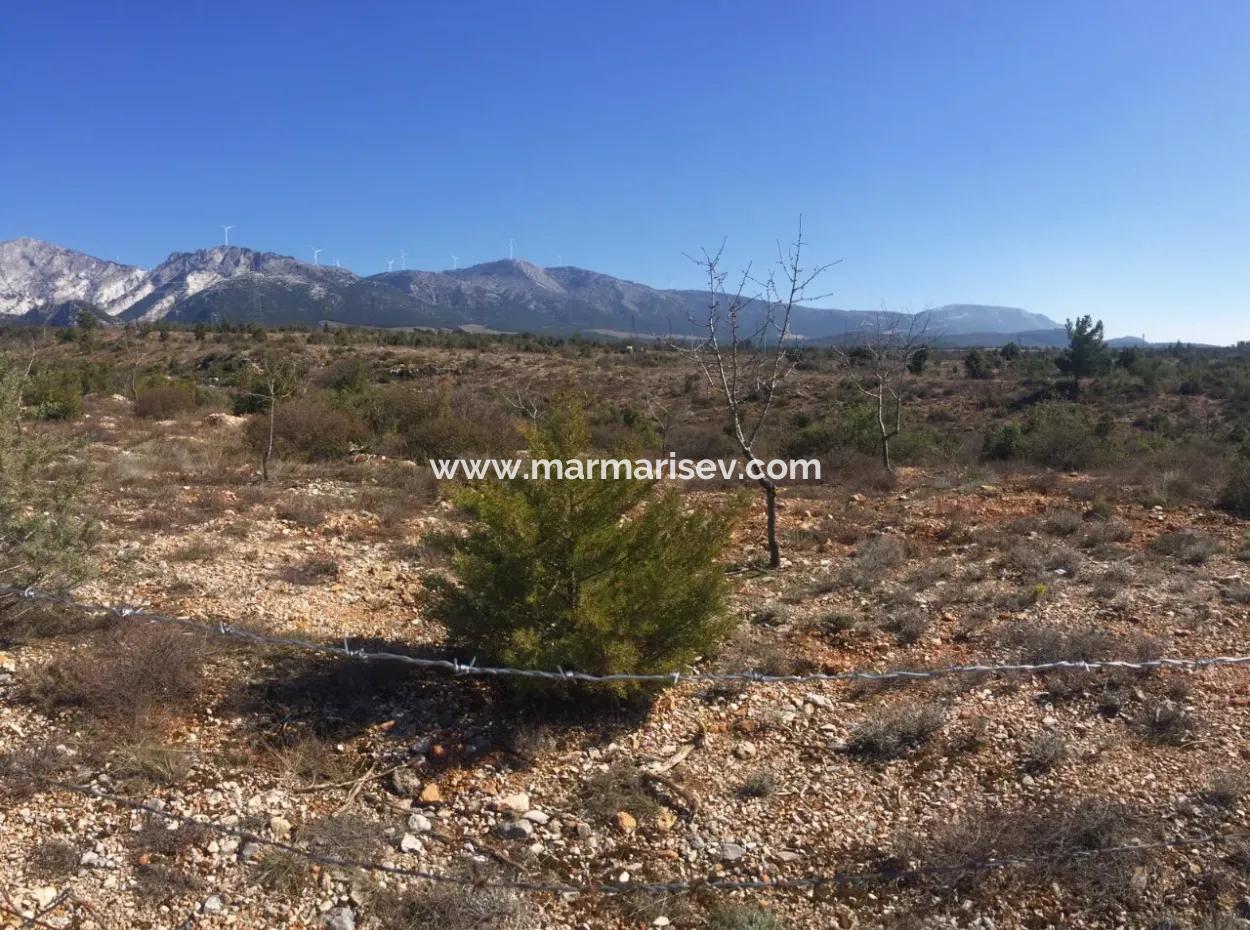 Muğla Merkezinde 200000M2 Badem Bahçesi Satılıktır.