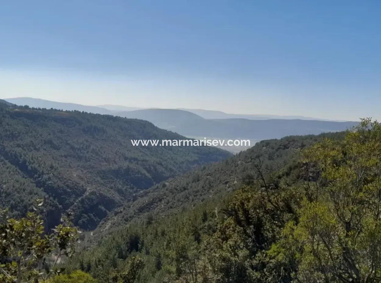 Muğla Merkezinde 200000M2 Badem Bahçesi Satılıktır.