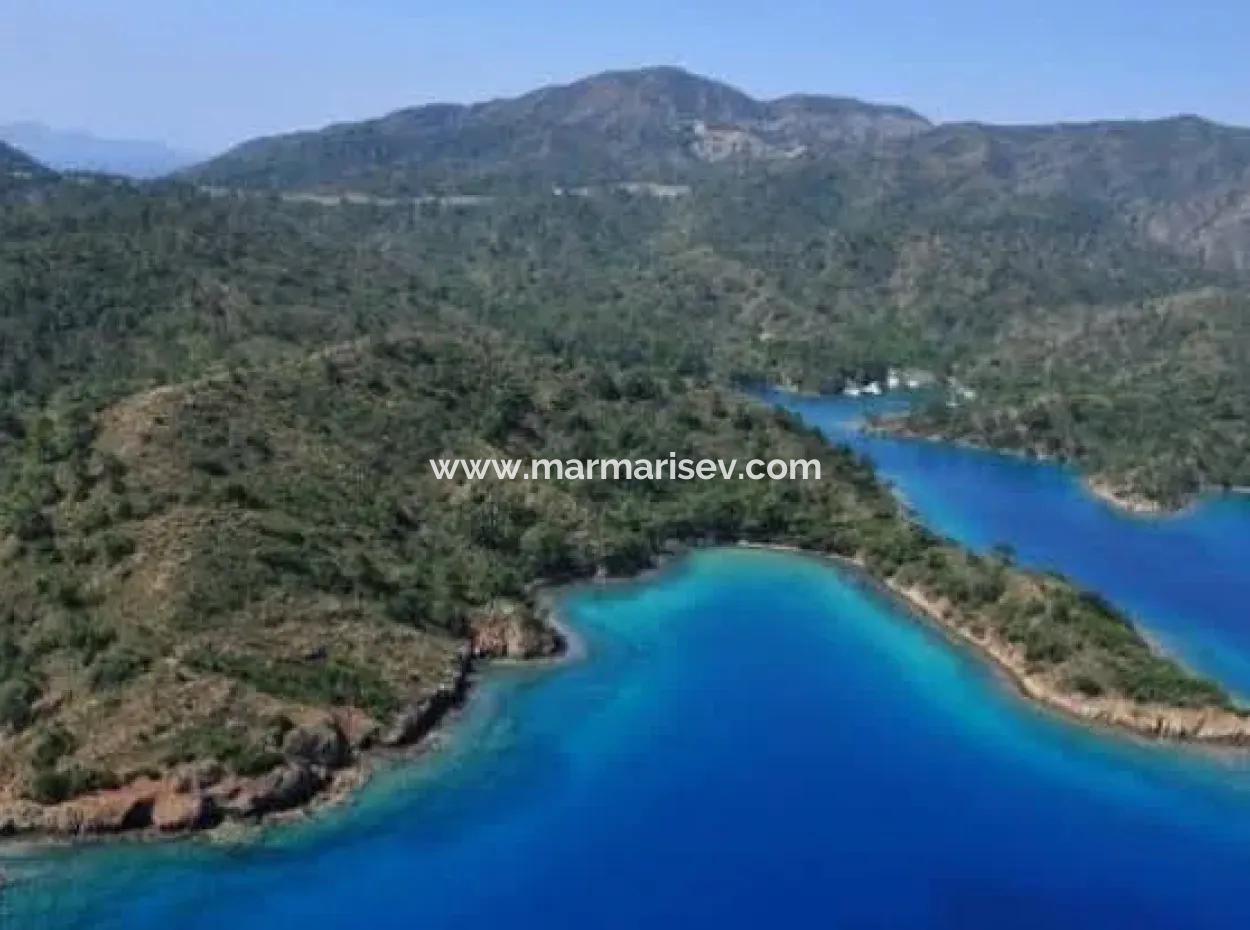 Datça İlçesi Alavara Mahallesinde Deniz Kenarı 4500M2 Satılık Yatırım İçin Uygun Arazi