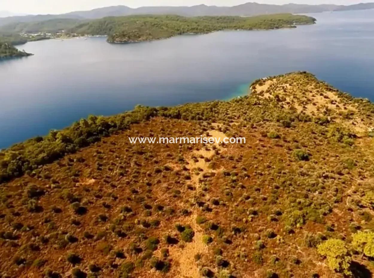 Marmaris İlçesi Gökova Körfezinde  Satılık Ada  365000M2 Arsa Alanına Sahip Olup İçerisinde Kayıtlı Ev Bulunmaktadır.