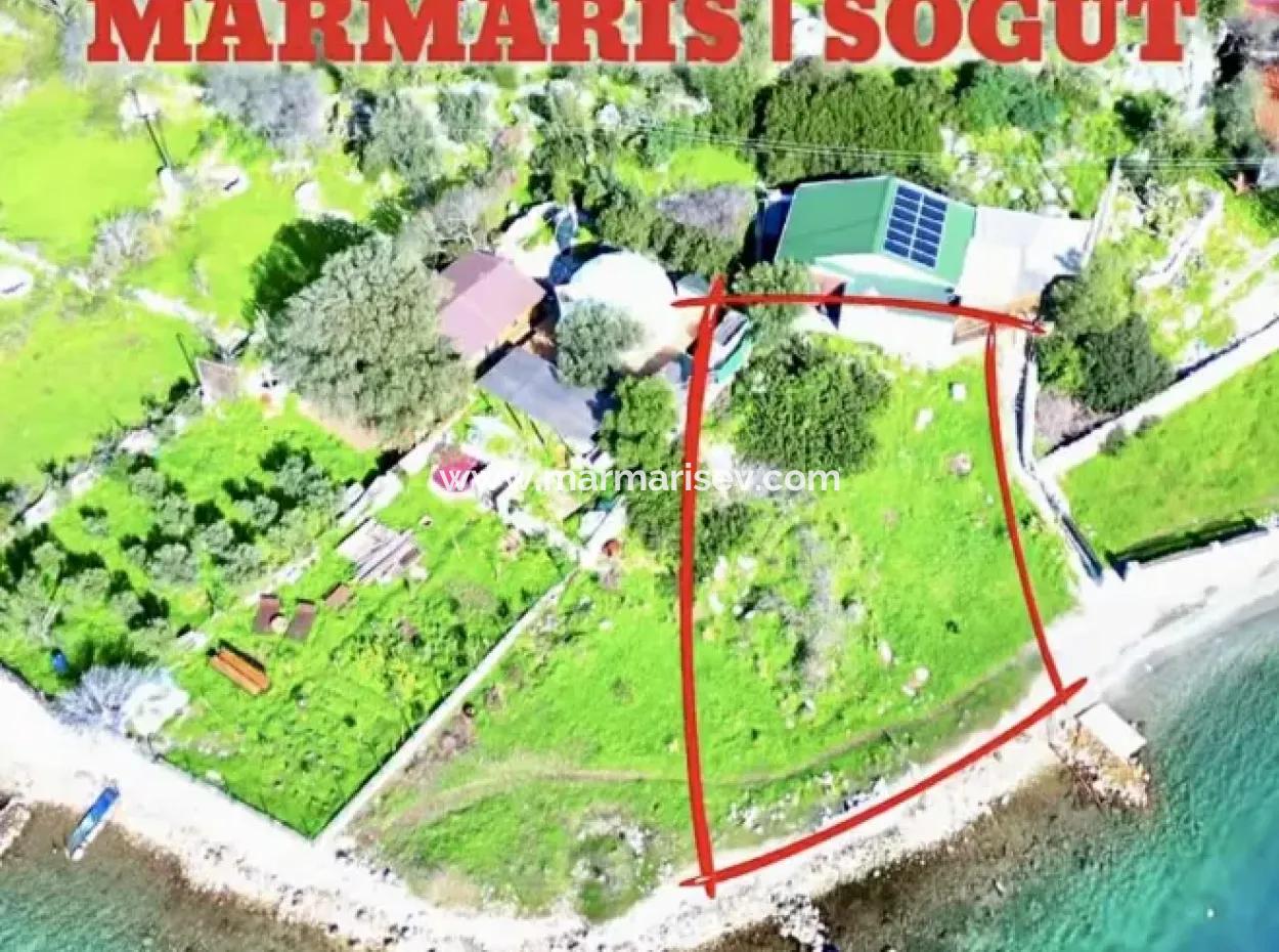 Emlakçıdan Marmaris İlçesi Söğüt Mahallesinde Denize Sıfır 380M2 Satılık Tarla